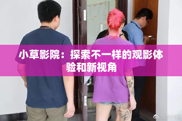 小草影院：探索不一样的观影体验和新视角