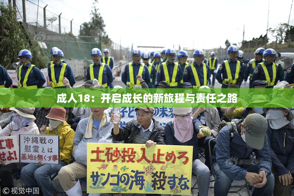 成人18：开启成长的新旅程与责任之路