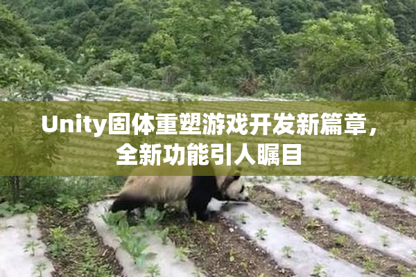 Unity固体重塑游戏开发新篇章，全新功能引人瞩目