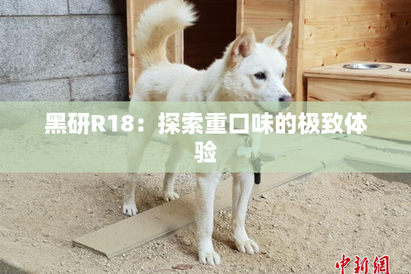 黑研R18：探索重口味的极致体验