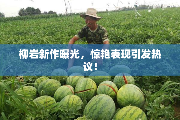 柳岩新作曝光，惊艳表现引发热议！