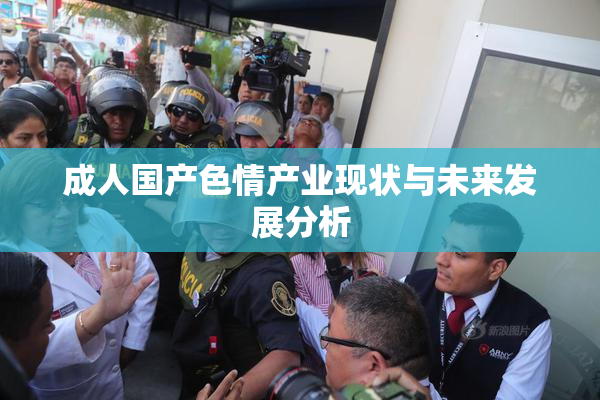成人国产色情产业现状与未来发展分析