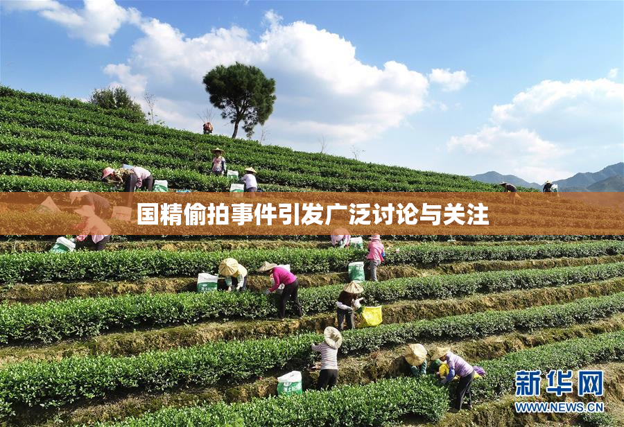 国精偷拍事件引发广泛讨论与关注