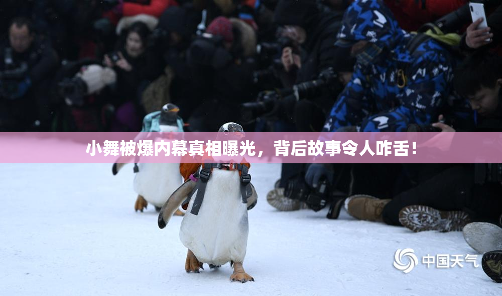 小舞被爆内幕真相曝光，背后故事令人咋舌！