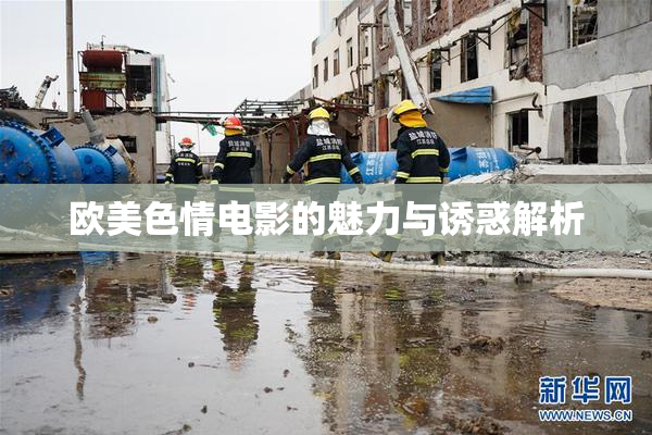 欧美色情电影的魅力与诱惑解析