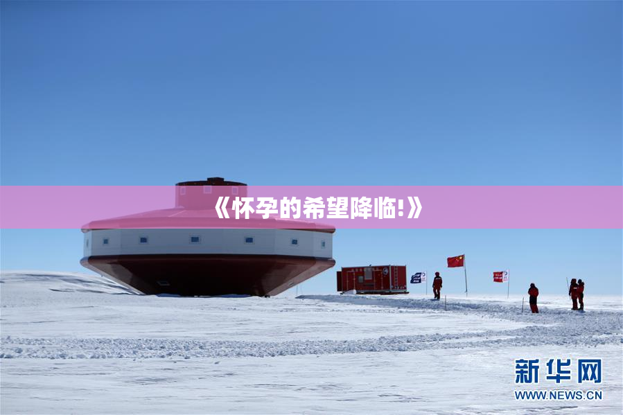 《怀孕的希望降临!》