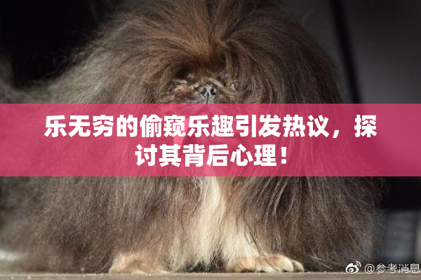 乐无穷的偷窥乐趣引发热议，探讨其背后心理！
