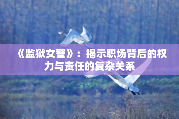 《监狱女警》：揭示职场背后的权力与责任的复杂关系