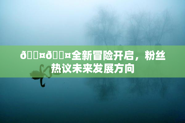 🐤🐤全新冒险开启，粉丝热议未来发展方向