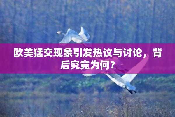 欧美猛交现象引发热议与讨论，背后究竟为何？