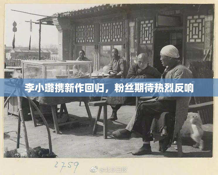 李小璐携新作回归，粉丝期待热烈反响