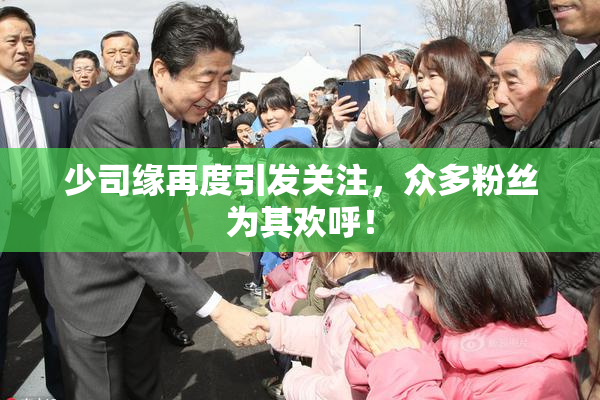 少司缘再度引发关注，众多粉丝为其欢呼！