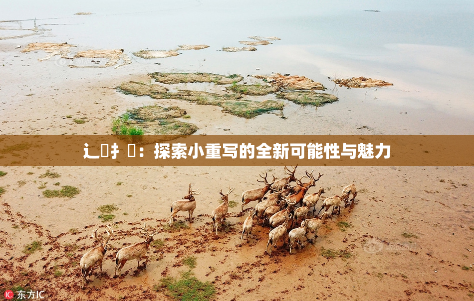 辶喿扌畐：探索小重写的全新可能性与魅力