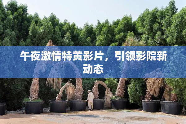 午夜激情特黄影片，引领影院新动态