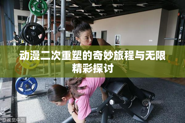 动漫二次重塑的奇妙旅程与无限精彩探讨
