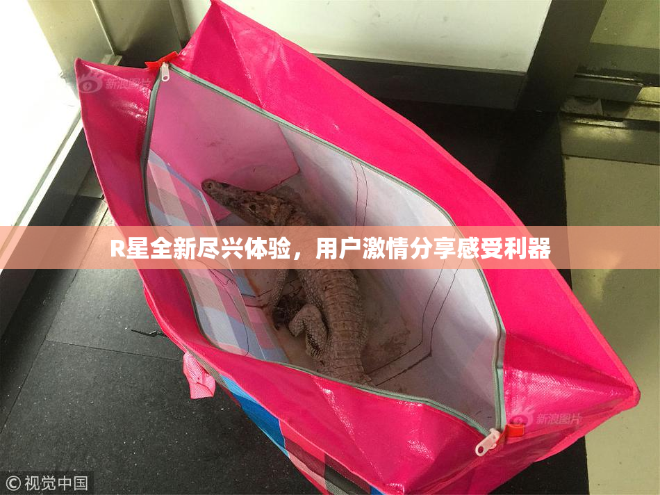 R星全新尽兴体验，用户激情分享感受利器