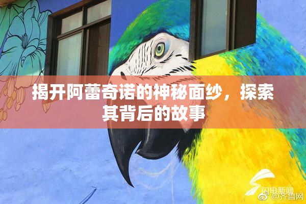 揭开阿蕾奇诺的神秘面纱，探索其背后的故事