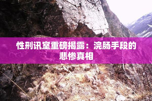 性刑讯室重磅揭露：浣肠手段的悲惨真相