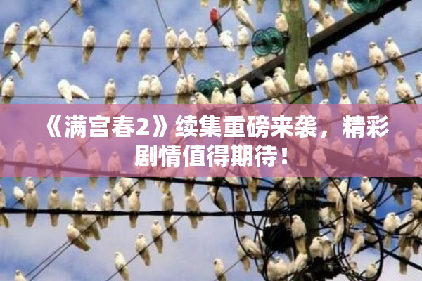 《满宫春2》续集重磅来袭，精彩剧情值得期待！