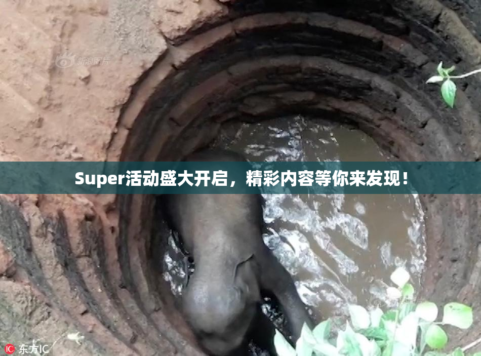 Super活动盛大开启，精彩内容等你来发现！