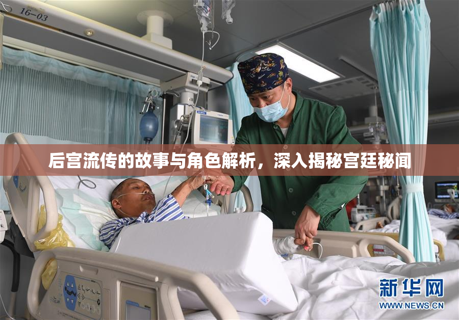 后宫流传的故事与角色解析，深入揭秘宫廷秘闻