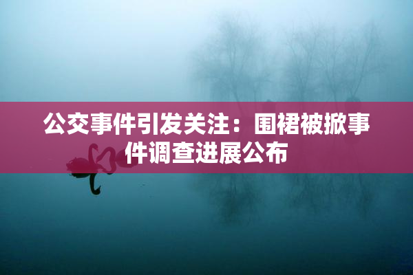 公交事件引发关注：围裙被掀事件调查进展公布
