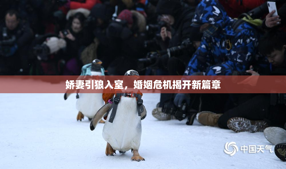 娇妻引狼入室，婚姻危机揭开新篇章