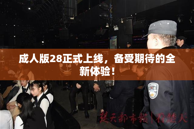 成人版28正式上线，备受期待的全新体验！