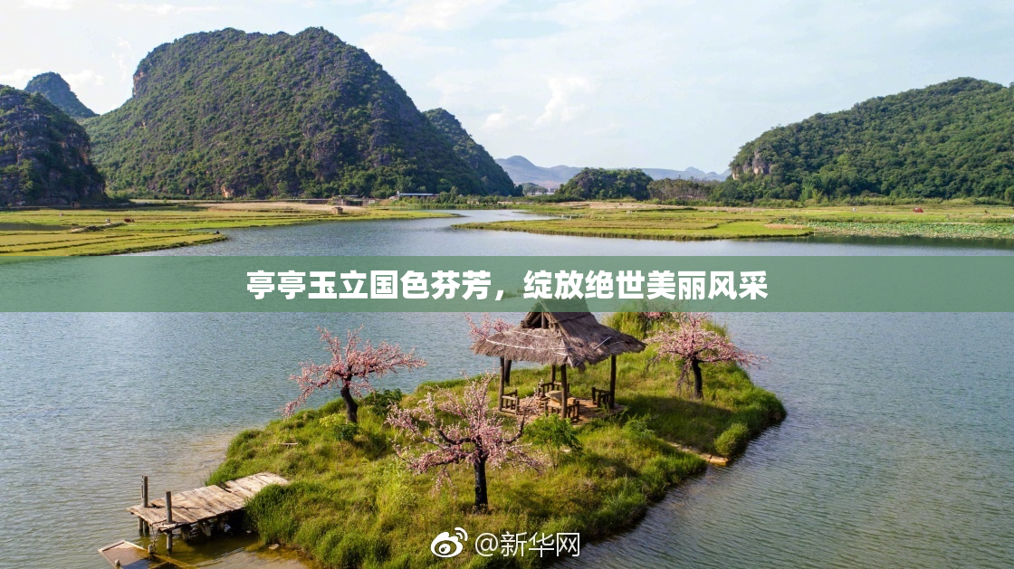 亭亭玉立国色芬芳，绽放绝世美丽风采