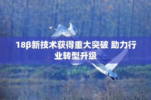 18β新技术获得重大突破 助力行业转型升级
