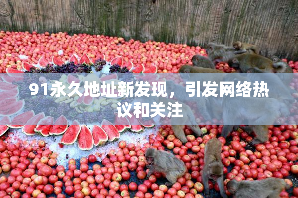 91永久地址新发现，引发网络热议和关注