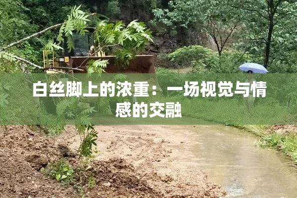 白丝脚上的浓重：一场视觉与情感的交融