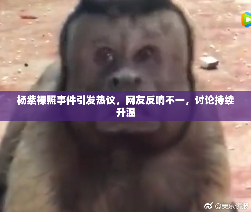 杨紫裸照事件引发热议，网友反响不一，讨论持续升温
