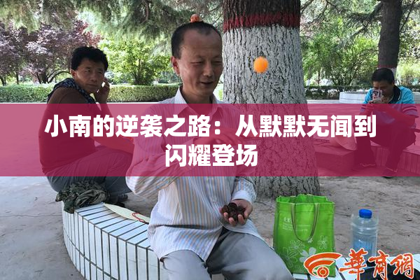 小南的逆袭之路：从默默无闻到闪耀登场