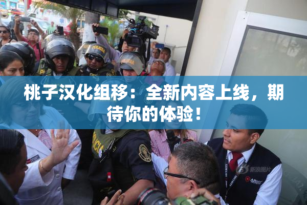 桃子汉化组移：全新内容上线，期待你的体验！