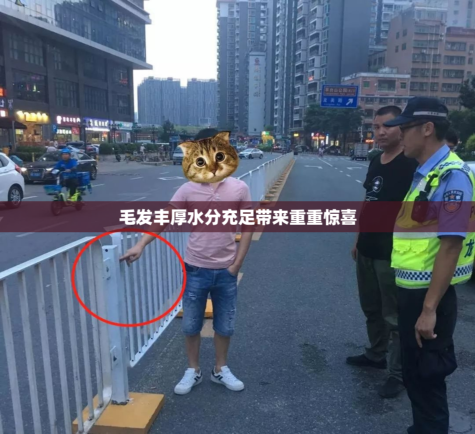 毛发丰厚水分充足带来重重惊喜