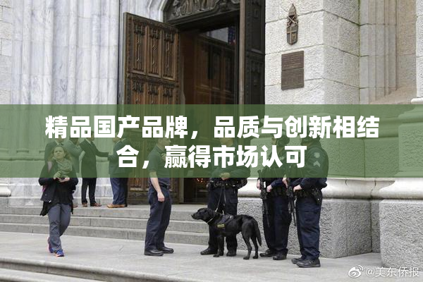精品国产品牌，品质与创新相结合，赢得市场认可