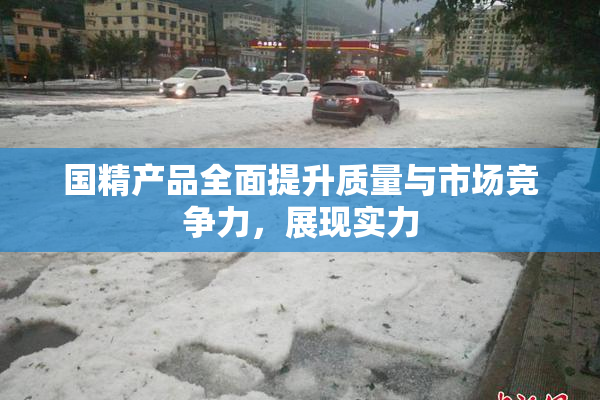 国精产品全面提升质量与市场竞争力，展现实力