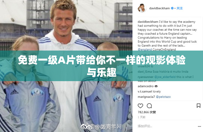 免费一级A片带给你不一样的观影体验与乐趣