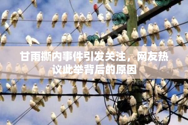 甘雨撕内事件引发关注，网友热议此举背后的原因