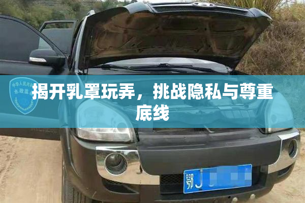 揭开乳罩玩弄，挑战隐私与尊重底线
