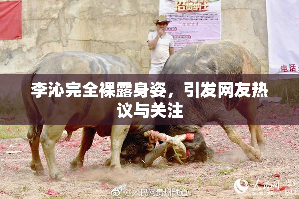 李沁完全裸露身姿，引发网友热议与关注