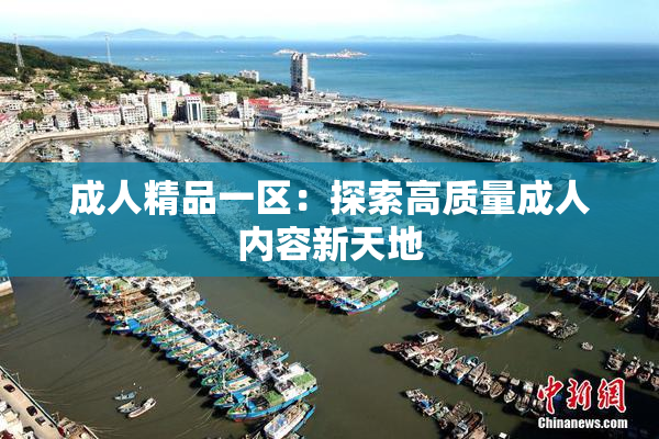 成人精品一区：探索高质量成人内容新天地
