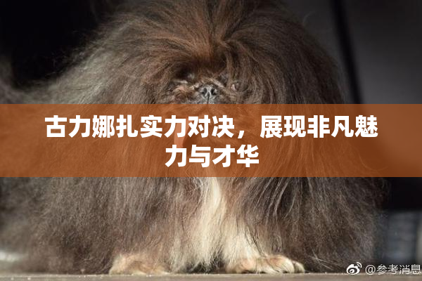 古力娜扎实力对决，展现非凡魅力与才华