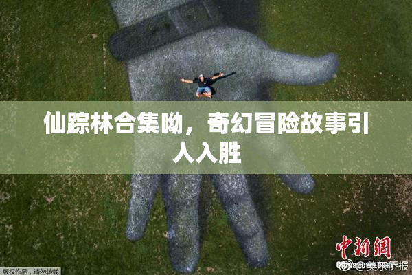 仙踪林合集呦，奇幻冒险故事引人入胜