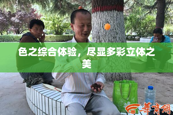 色之综合体验，尽显多彩立体之美