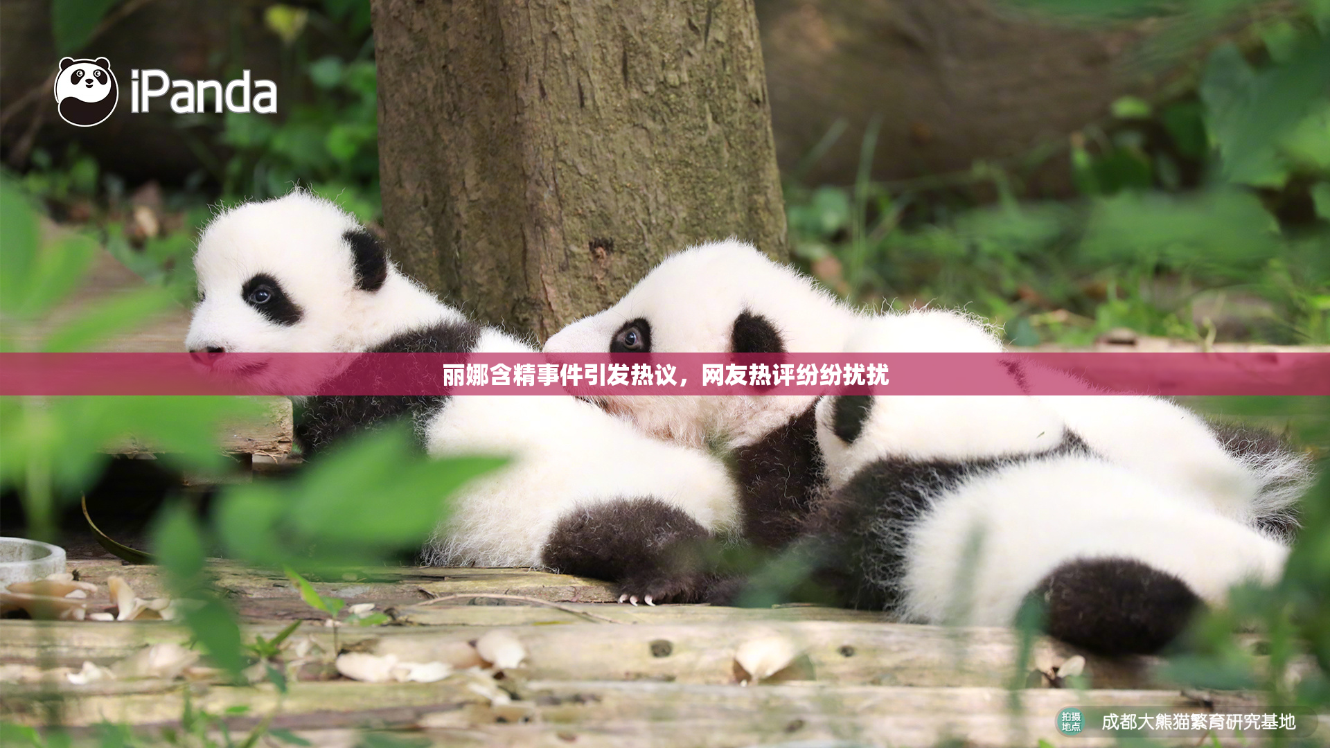 丽娜含精事件引发热议，网友热评纷纷扰扰