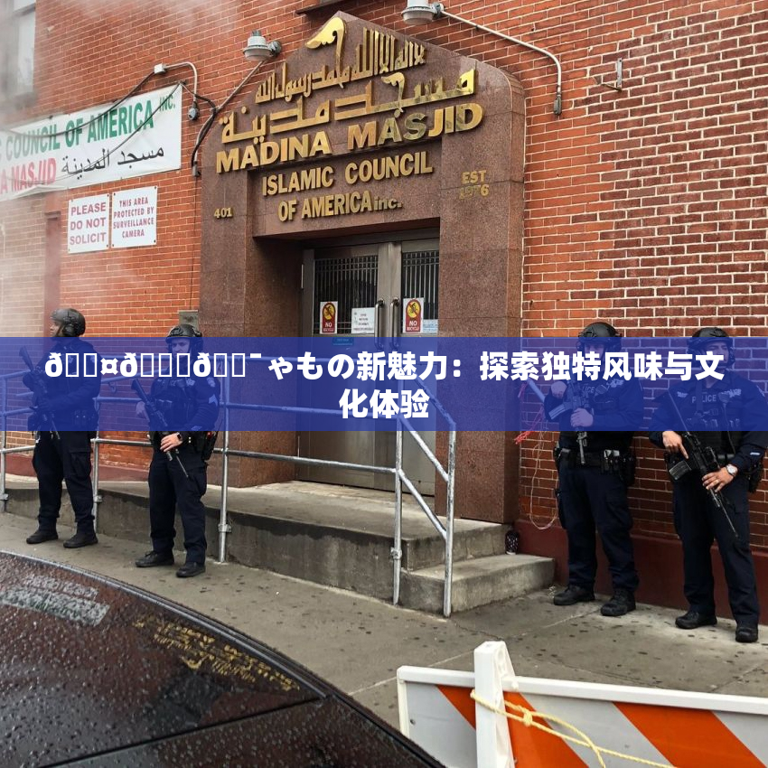 🖤🌃🔯ゃもの新魅力：探索独特风味与文化体验