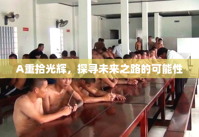 A重拾光辉，探寻未来之路的可能性