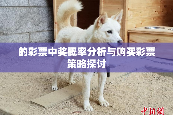 的彩票中奖概率分析与购买彩票策略探讨